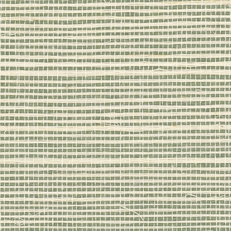 Sisal Grasscloth Wallpaper - Coriander