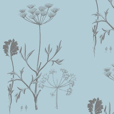 Queens Lace Wallpaper - Prim Greys