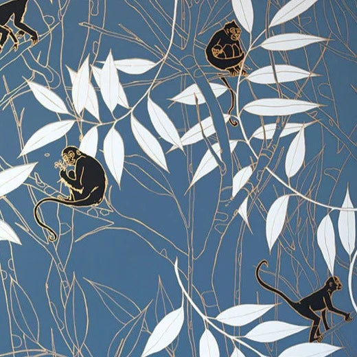 Spider Monkey Wallpaper - Monkeys Before Dawn